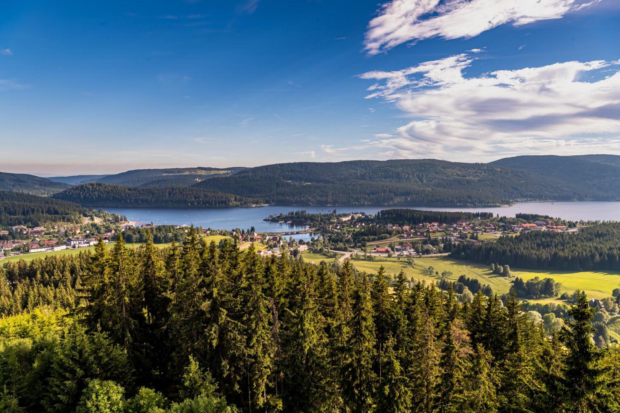 Apartment 13 - Ferienresidenz Roseneck, Mit Schwimmbad In Todtnauberg Bei Feldberg Bagian luar foto